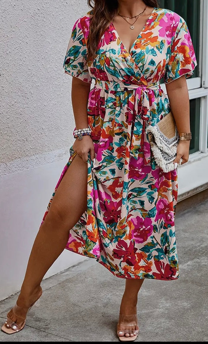 CURVY GIRLS MULTI COLOR DRESS