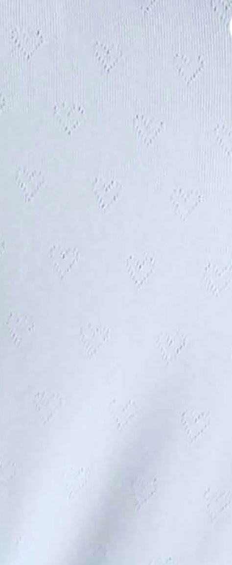 PJ SALVAGE-POINTELLE HEARTS PANTS-BLUE HAZE